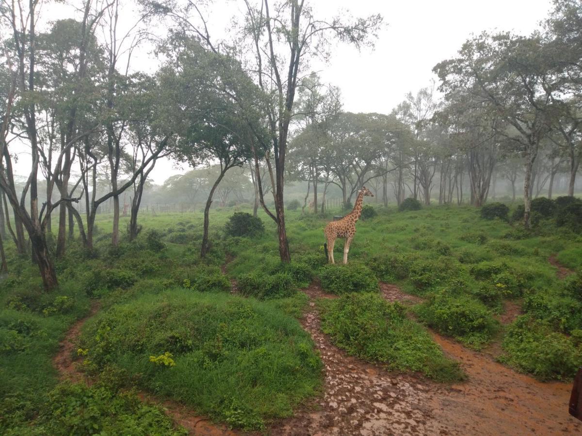 Elimurk Bnb Near Jkia N Sgr Nairobi Zewnętrze zdjęcie